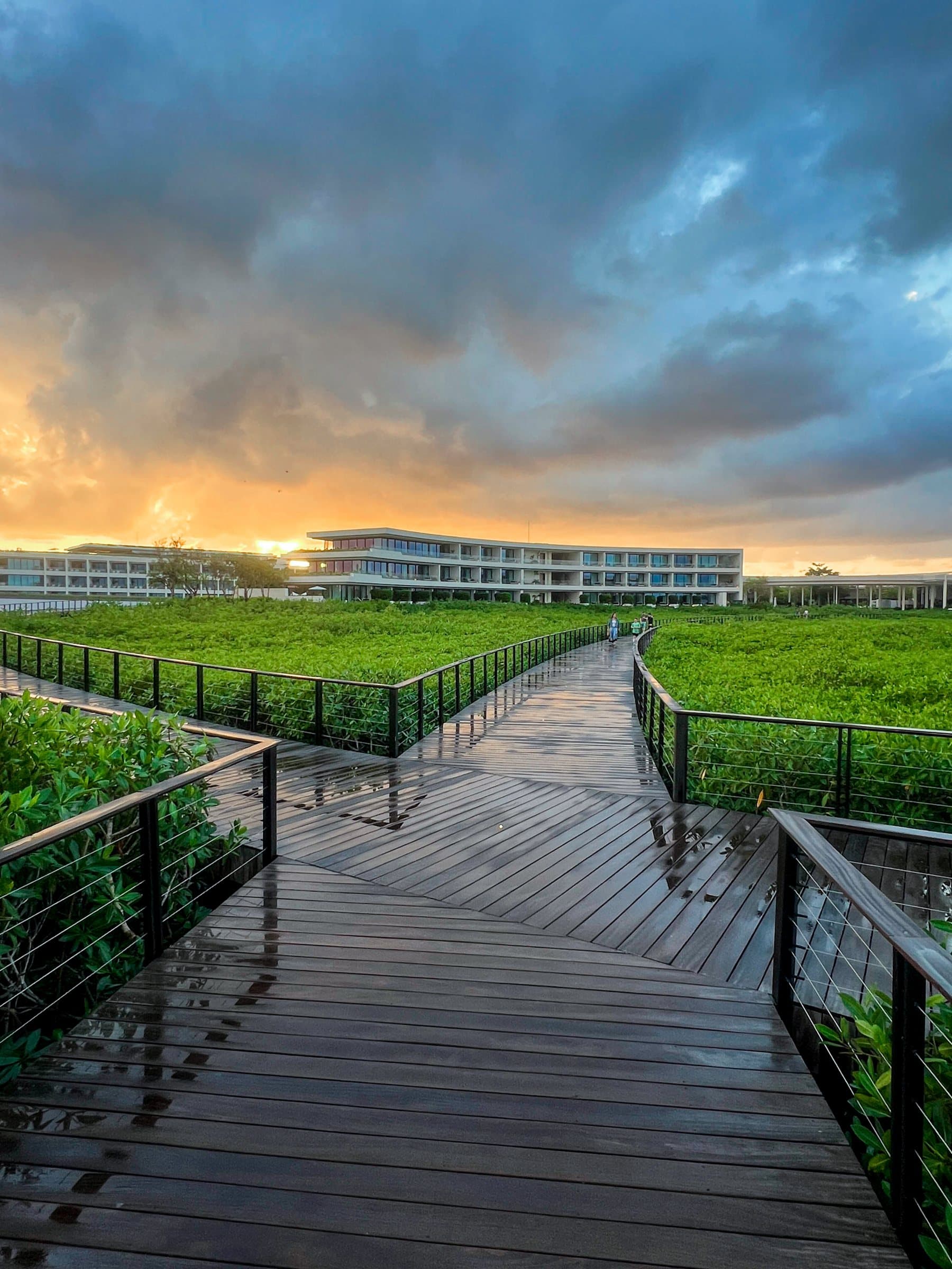 Timber boardwalk through green planting toward low white buildings at sunrise