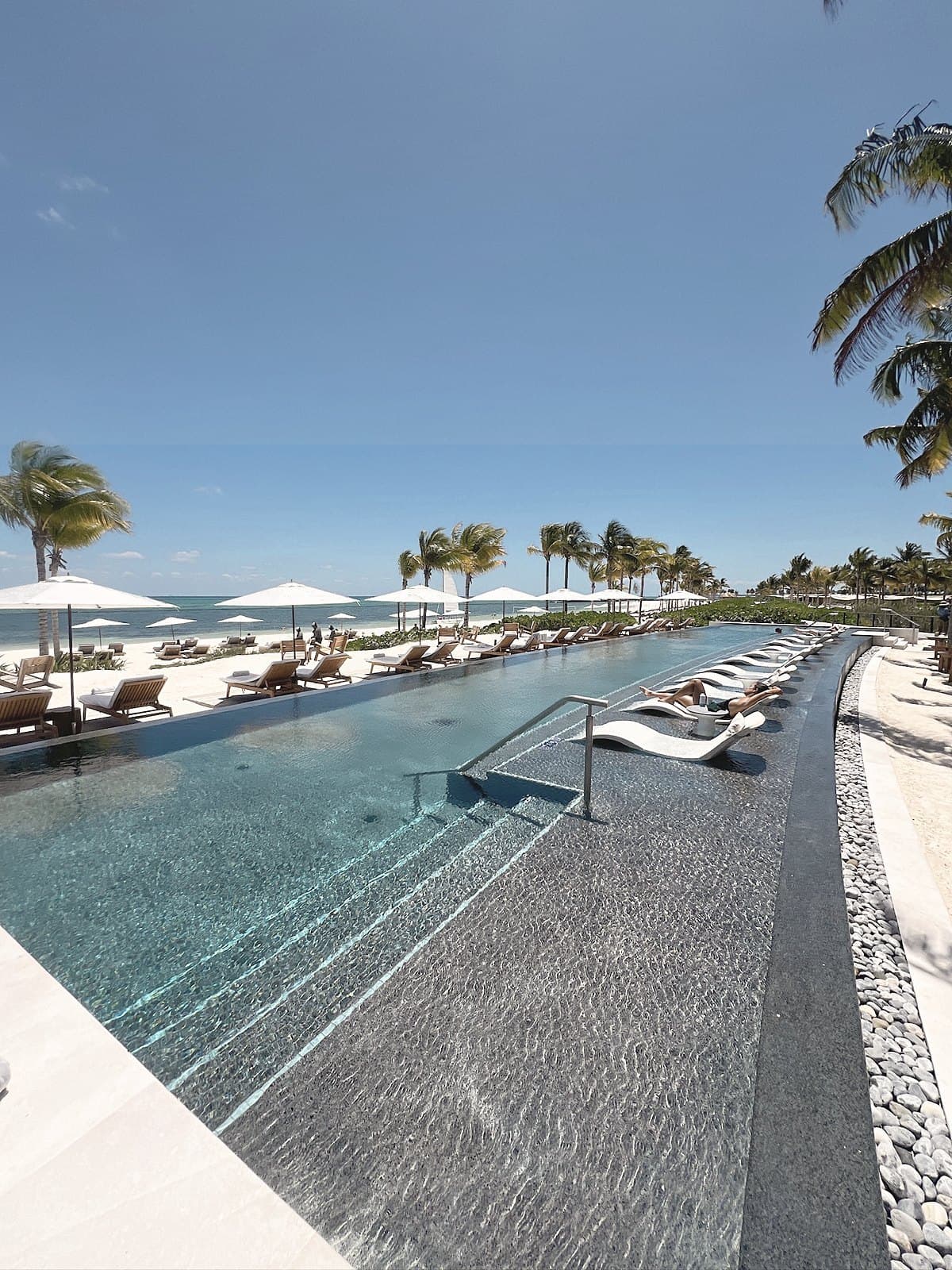 Infinity pool deck with loungers and umbrellas between palms