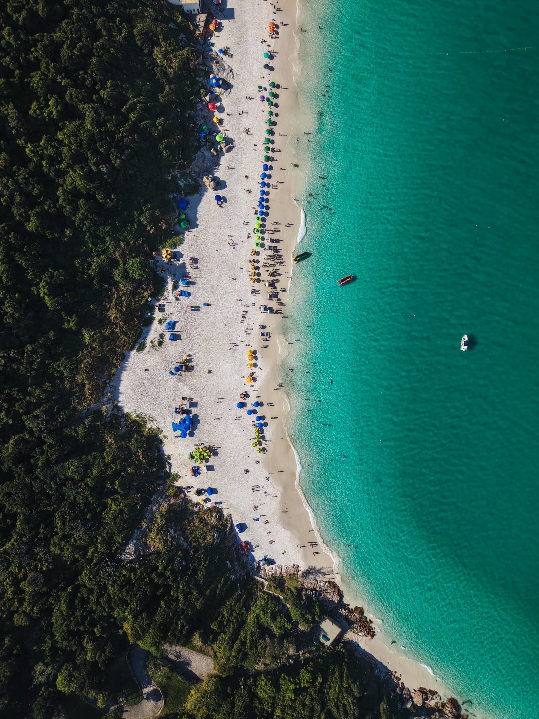 Aerial of a forested shoreline meeting a white beach and green water